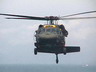 black hawk