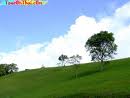 thai_en